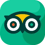 Review Icon 1